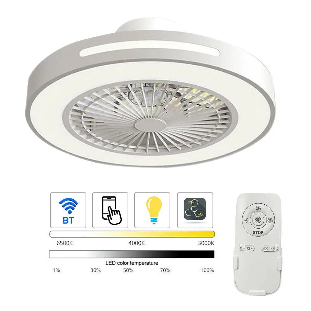 Modern Ceiling Fan with Lighting LED Lights Adjustable Wind Speed Remote Control jorunhe.com