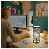 Modern Bedside Table Lamp with USB Port, Table Desk Lamp, Nightstand Decorative Room Table Lamp, Sliver Lamp Shade Night Light Fixture for Living Room/Bedroom/Dining Room/Kitchen jorunhe.com